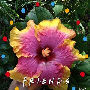 Meet your Posher, April